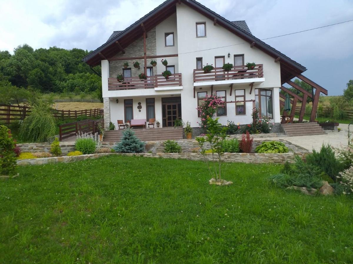 Hotel Pensiunea Doina Bucovinei Mînăstirea Humorului Exterior foto